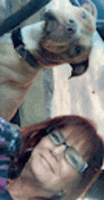 Woman Taking Selfie With Dog In Car GIF