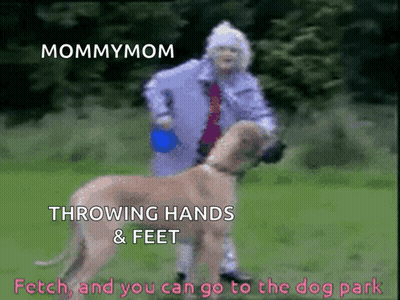 Woman Throwing Hands And Feet Saying Mommymom Fetch Lets Go To The Dog Park GIF