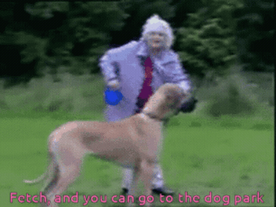 Woman Walking Dog Fetch And You Can Go To The Dog Park GIF