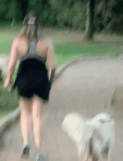 Woman Walking Dog On Leash GIF