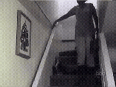 Woman Walking Dog Up Stairs GIF