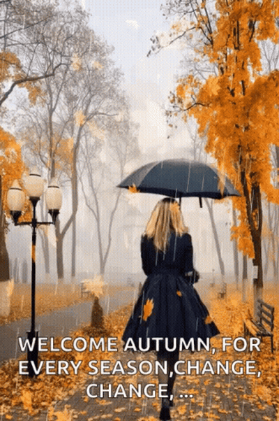 Woman Walking In Rain With Umbrella And Falling Leaves GIF