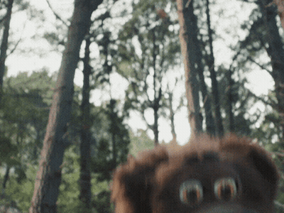 Woman Walking Through Woods With Gun In Pocket GIF