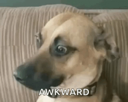 Woman Wearing Glasses Smiling GIF