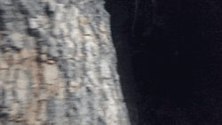 Woman Wearing Tin Hat And Mask Peeping GIF