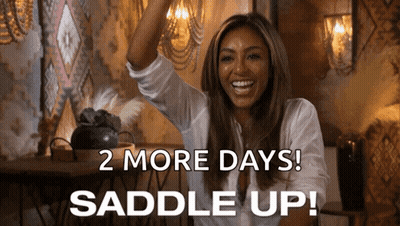 Woman With Arm In Air Saying 2 More Days Saddle Up GIF