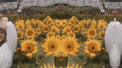 Woman With Arms Outstretched In Sunflower Field GIF