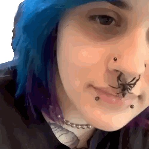 Woman With Blue And Purple Hair And Spider On Nose Sticker