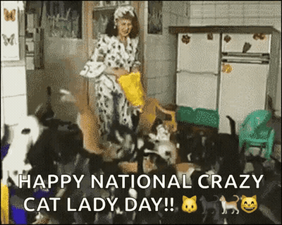 Woman With Cats Says Happy National Crazy Cat Lady Day GIF