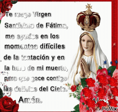 Woman With Crown Surrounded By Red Roses GIF