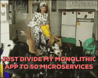 Woman With Dogs Saying Divide Monolith Into 50 Microservices GIF