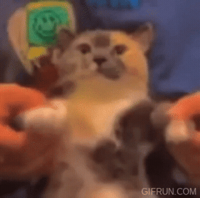 Woman With Dreadlocks Saying I Thought We'll Never See Him Again GIF