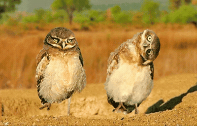 Woman With Eyes Closed GIF