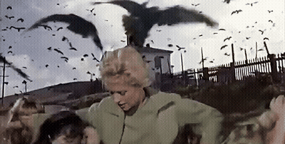 Woman With Flock Of Birds In Field GIF