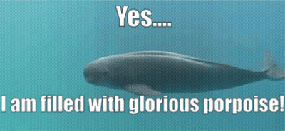 Woman With Flower Crown Saying Oh Look Another Glorious Morning GIF