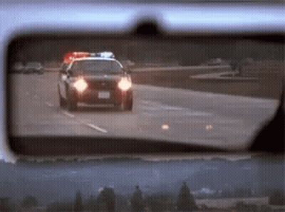 Woman With Glasses Yellow Shirt Says Wren (They) GIF