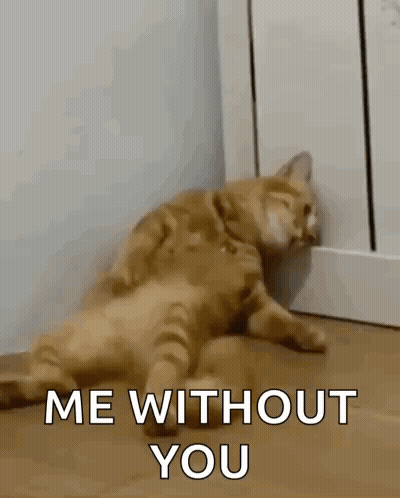Woman With Hands On Head Saying Im Done GIF