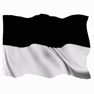 Woman With Hat Saying Iraq GIF