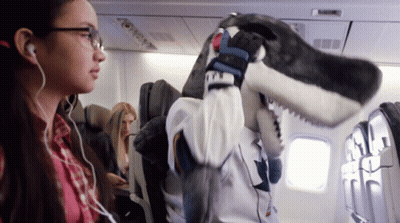 Woman With Headphones And Stuffed Shark On Airplane GIF