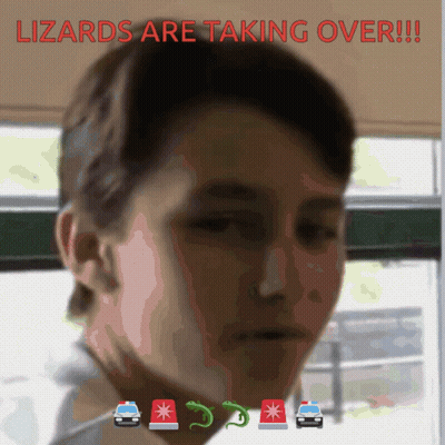 Woman With Lizards Are Taking Over GIF