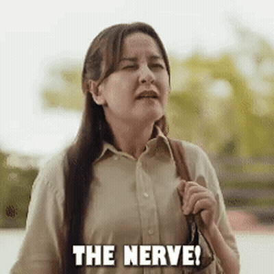 Woman With Long Hair Holding Purse Saying Nerve GIF