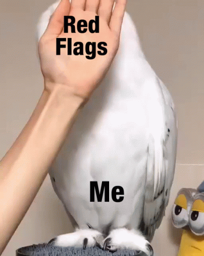 Woman With Red Flags How I See His Red Flags GIF