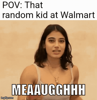 Woman With That Random Kid At Walmart Meaaughhhh GIF