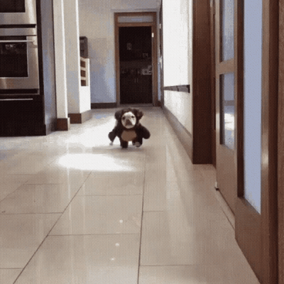 Woman With @Tvresidence Above Her GIF