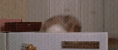 Woman With White Mask Using Laptop GIF