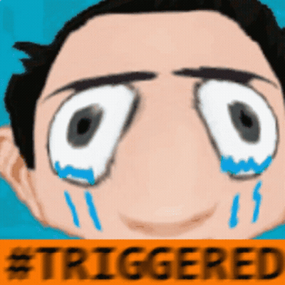 Woman With Yellow Sign Saying Triggered