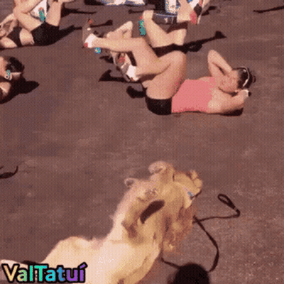 Women Exercising With Dog Valtatui GIF