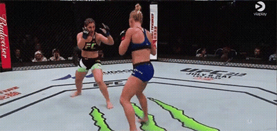 Women Fighting In Ring With Budweiser Ad GIF