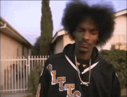 Women Fighting Over Snoop Dogg GIF