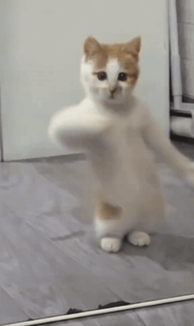 Women Posing With Ole Words GIF