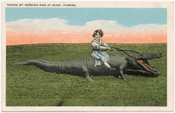 Women Riding Alligator Postcard GIF