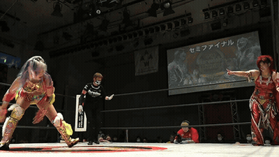 Women Wrestling In Ring GIF
