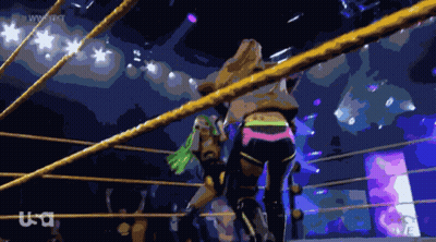 Women Wrestling In Ring With USA Logo GIF