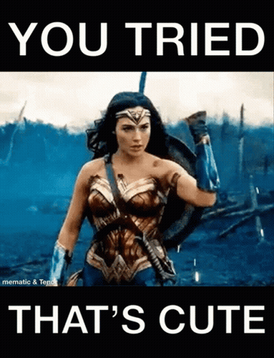 Wonder Woman Holding A Shield And A Sword With The Caption You Tried That 'S Cute GIF