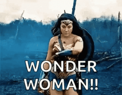Wonder Woman Holding Shield And Sword In Field GIF