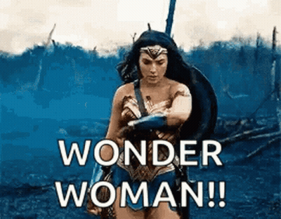 Wonder Woman Holding Shield And Sword In Field GIF