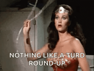 Wonder Woman Is Holding A Rope And Saying `` Nothing Like A Turd Round Up '' . GIF