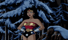 Wonder Woman With Flash GIF