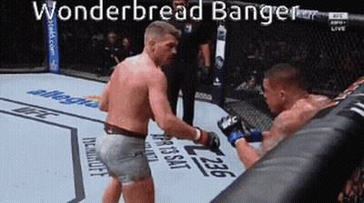 Wonderbread Banger Boxing Fight GIF