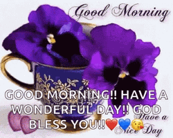 Wonderful Day Blessed Good Morning Wednesday GIF