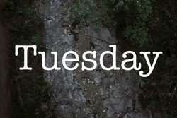 Wonderful Tuesday Aerial Natura Shot GIF