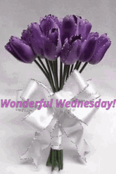 Wonderful Wednesday Purple Flowers GIF