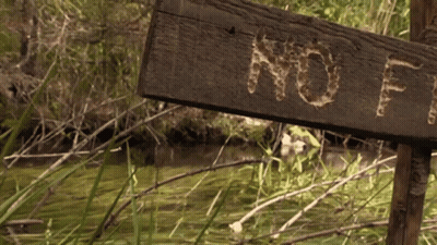 Wooden Sign Saying No In Swamp GIF