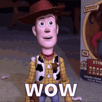 Woody From Toy Story In Cowboy Hat And Plaid Shirt GIF