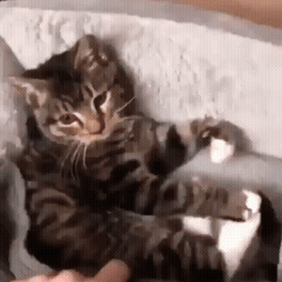 Woody Sitting In Green Car GIF