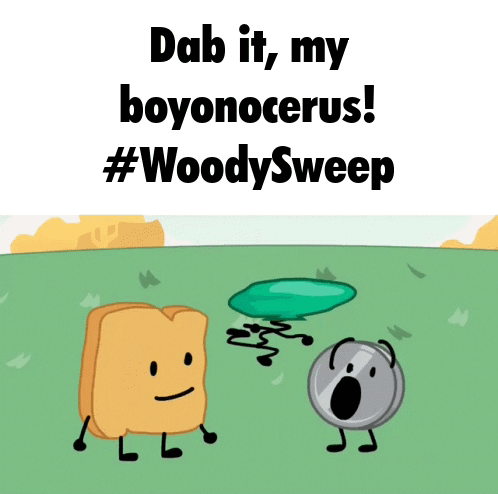 Woody Sweep And Boyonocerus Saying Dab It My Boyonocerus GIF